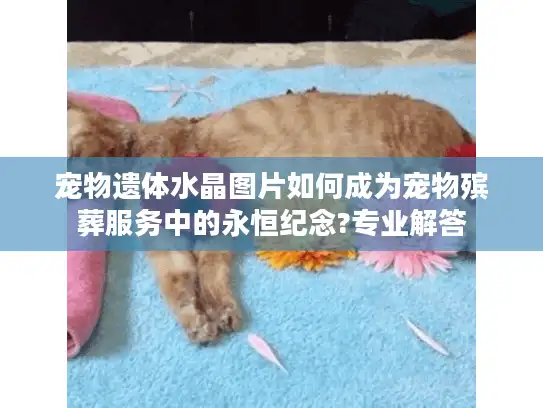 宠物遗体水晶图片如何成为宠物殡葬服务中的永恒纪念?专业解答
