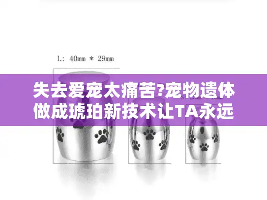 失去爱宠太痛苦?宠物遗体做成琥珀新技术让TA永远陪在你身边