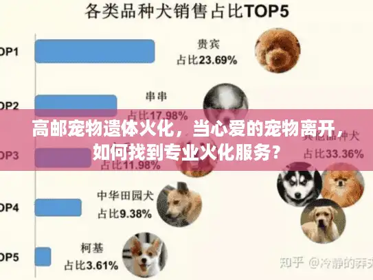 高邮宠物遗体火化，当心爱的宠物离开，如何找到专业火化服务？