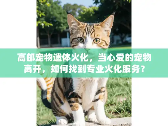 高邮宠物遗体火化，当心爱的宠物离开，如何找到专业火化服务？