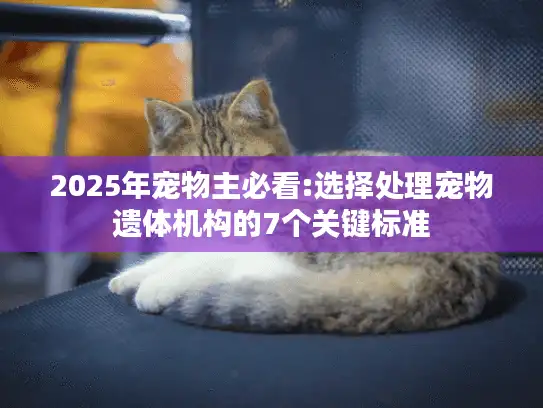 2025年宠物主必看:选择处理宠物遗体机构的7个关键标准