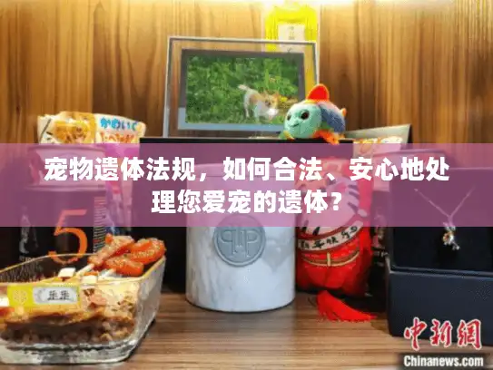 宠物遗体法规，如何合法、安心地处理您爱宠的遗体？