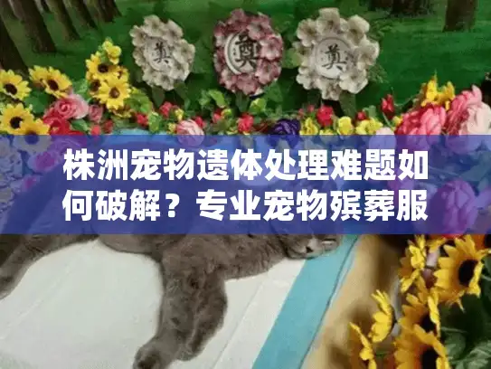 株洲宠物遗体处理难题如何破解？专业宠物殡葬服务全攻略