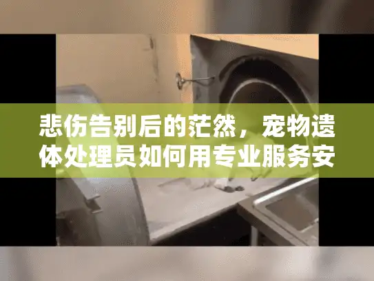 悲伤告别后的茫然，宠物遗体处理员如何用专业服务安抚心碎时刻？