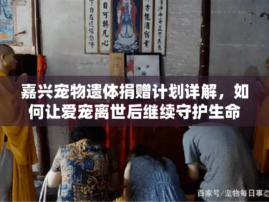 嘉兴宠物遗体捐赠计划详解，如何让爱宠离世后继续守护生命？