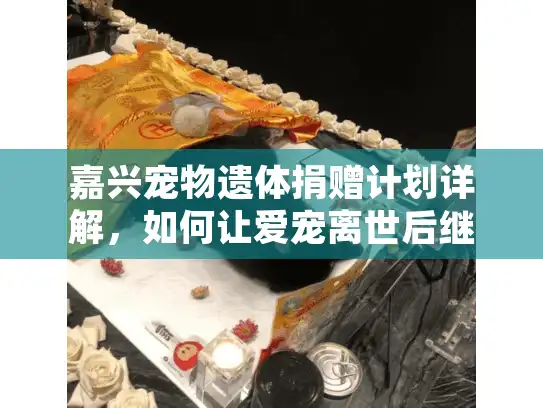 嘉兴宠物遗体捐赠计划详解，如何让爱宠离世后继续守护生命？