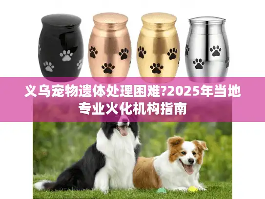 义乌宠物遗体处理困难?2025年当地专业火化机构指南