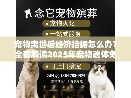 宠物离世后经济拮据怎么办？全面解读2025年宠物遗体免费政策福利