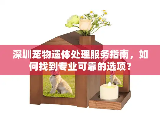 深圳宠物遗体处理服务指南，如何找到专业可靠的选项？