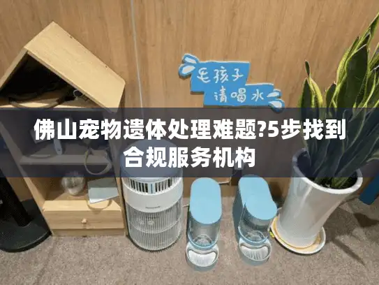 佛山宠物遗体处理难题?5步找到合规服务机构