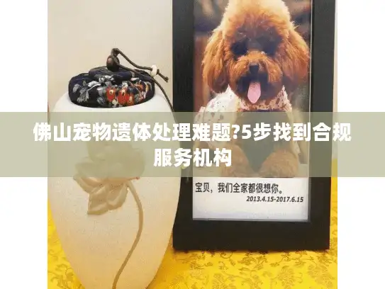 佛山宠物遗体处理难题?5步找到合规服务机构