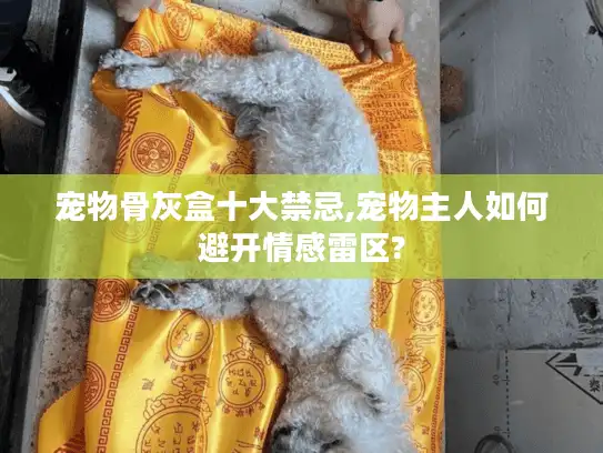 宠物骨灰盒十大禁忌,宠物主人如何避开情感雷区?