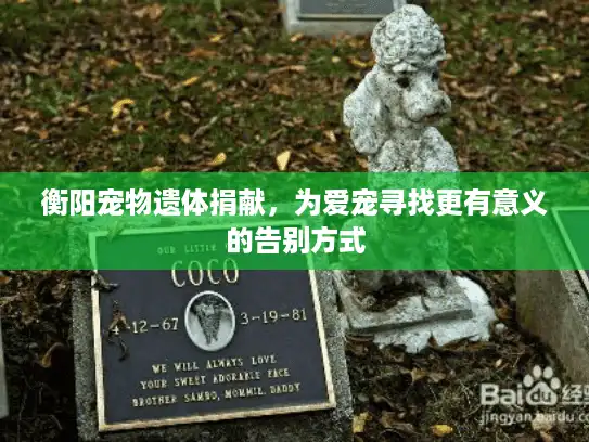 衡阳宠物遗体捐献，为爱宠寻找更有意义的告别方式