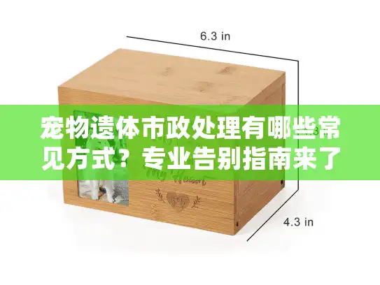 宠物遗体市政处理有哪些常见方式？专业告别指南来了！