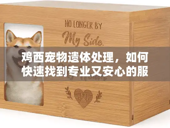 鸡西宠物遗体处理，如何快速找到专业又安心的服务？
