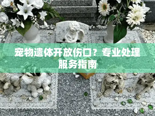 宠物遗体开放伤口？专业处理服务指南