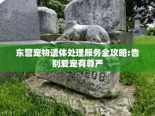 东营宠物遗体处理服务全攻略:告别爱宠有尊严