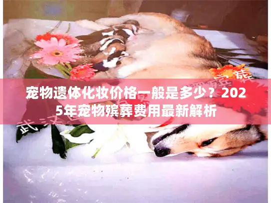 宠物遗体化妆价格一般是多少？2025年宠物殡葬费用最新解析
