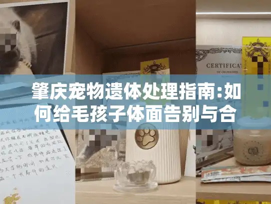 肇庆宠物遗体处理指南:如何给毛孩子体面告别与合法处置方案