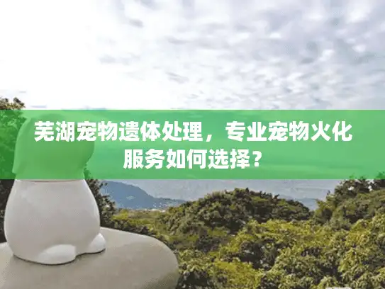 芜湖宠物遗体处理，专业宠物火化服务如何选择？