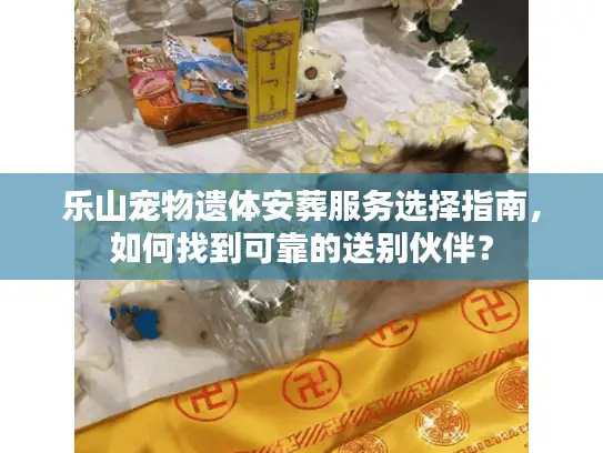乐山宠物遗体安葬服务选择指南，如何找到可靠的送别伙伴？