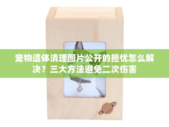 宠物遗体清理图片公开的担忧怎么解决？三大方法避免二次伤害