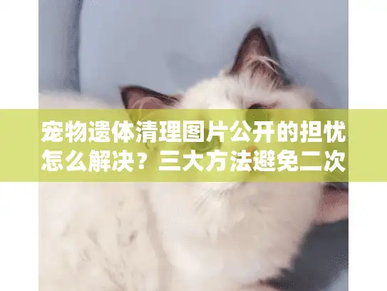 宠物遗体清理图片公开的担忧怎么解决？三大方法避免二次伤害