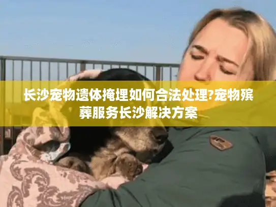 长沙宠物遗体掩埋如何合法处理?宠物殡葬服务长沙解决方案