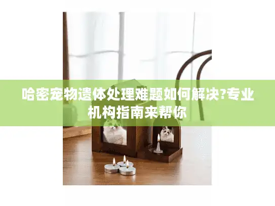 哈密宠物遗体处理难题如何解决?专业机构指南来帮你