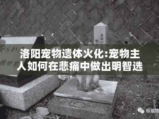 洛阳宠物遗体火化:宠物主人如何在悲痛中做出明智选择?
