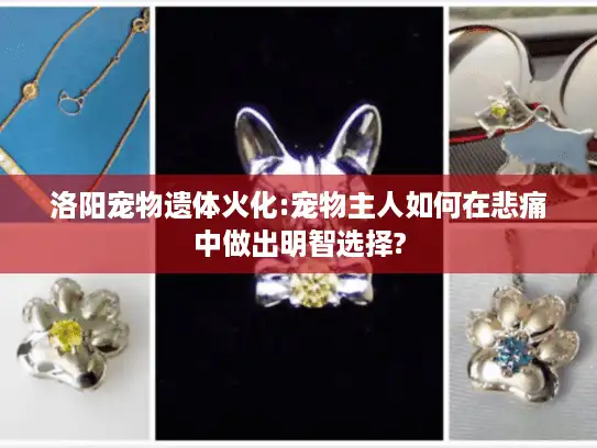 洛阳宠物遗体火化:宠物主人如何在悲痛中做出明智选择?