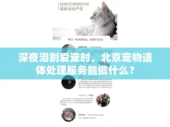 深夜泪别爱宠时，北京宠物遗体处理服务能做什么？