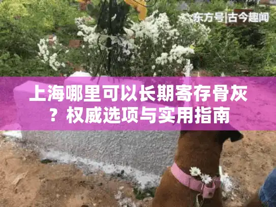上海哪里可以长期寄存骨灰？权威选项与实用指南