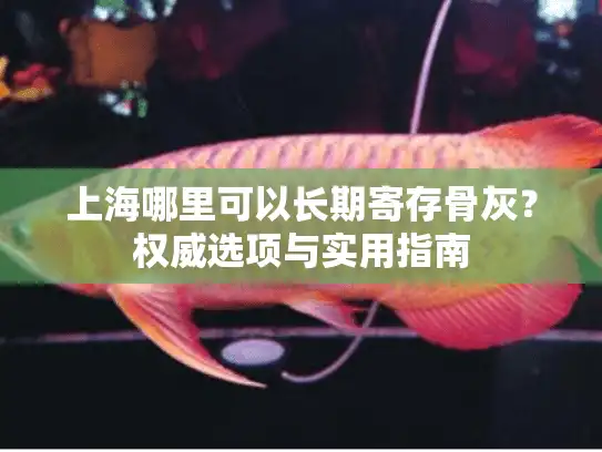 上海哪里可以长期寄存骨灰？权威选项与实用指南