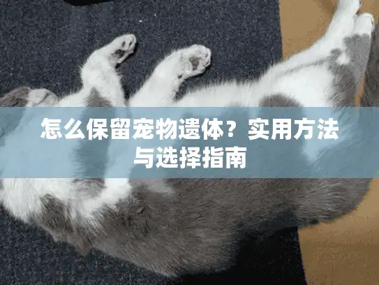 怎么保留宠物遗体？实用方法与选择指南