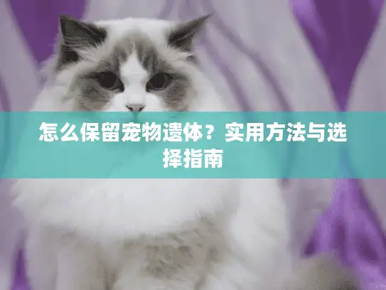 怎么保留宠物遗体？实用方法与选择指南