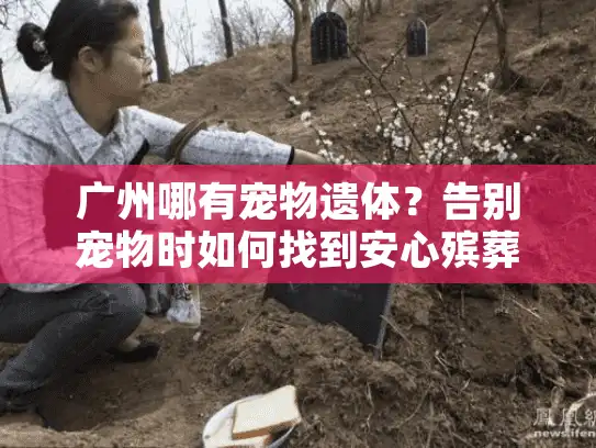广州哪有宠物遗体？告别宠物时如何找到安心殡葬服务
