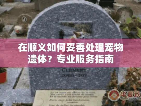 在顺义如何妥善处理宠物遗体？专业服务指南