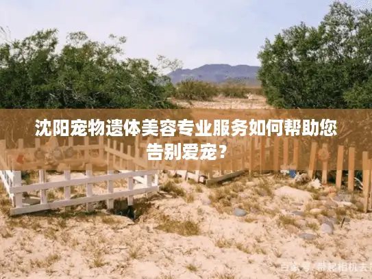 沈阳宠物遗体美容专业服务如何帮助您告别爱宠？