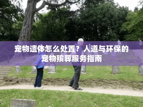 宠物遗体怎么处置？人道与环保的宠物殡葬服务指南