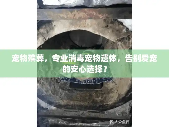 宠物殡葬，专业消毒宠物遗体，告别爱宠的安心选择？