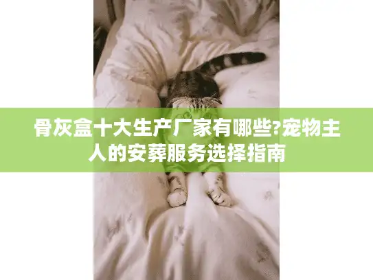 骨灰盒十大生产厂家有哪些?宠物主人的安葬服务选择指南