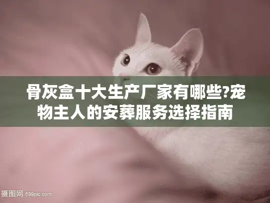 骨灰盒十大生产厂家有哪些?宠物主人的安葬服务选择指南