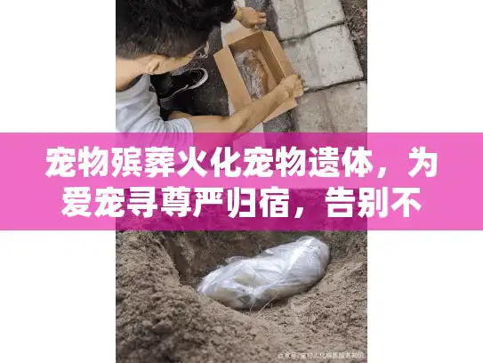 宠物殡葬火化宠物遗体，为爱宠寻尊严归宿，告别不再仓促