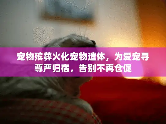 宠物殡葬火化宠物遗体，为爱宠寻尊严归宿，告别不再仓促