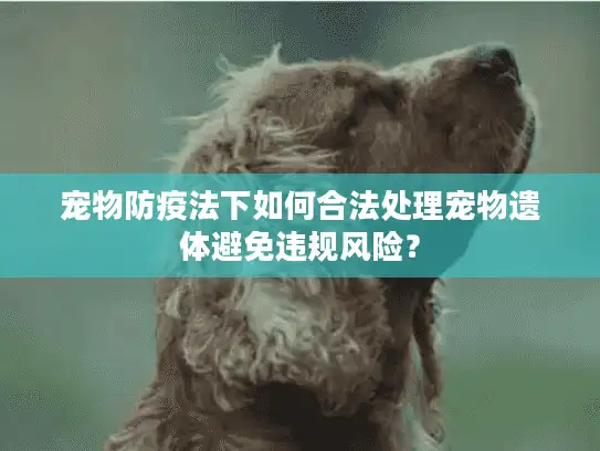 宠物防疫法下如何合法处理宠物遗体避免违规风险？