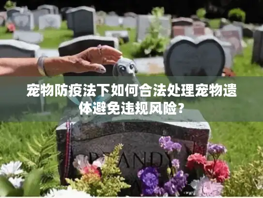 宠物防疫法下如何合法处理宠物遗体避免违规风险？