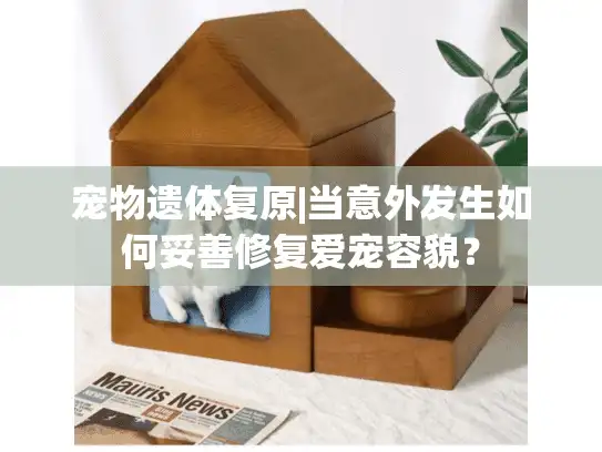 宠物遗体复原|当意外发生如何妥善修复爱宠容貌？