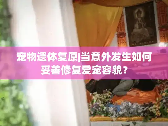宠物遗体复原|当意外发生如何妥善修复爱宠容貌？