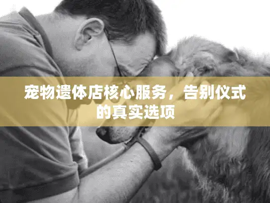 宠物遗体店核心服务，告别仪式的真实选项